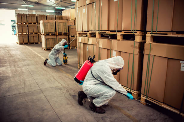 Best Affordable Pest Control Services  in Yuc Valley, CA