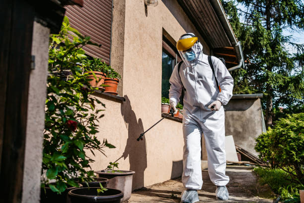 Best Wasp Removal Services  in Yuc Valley, CA