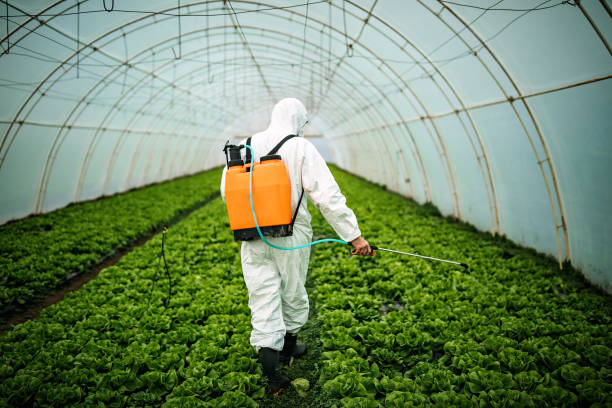 Best Emergency Pest Control  in Yuc Valley, CA