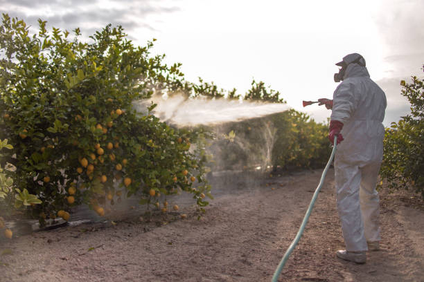 Best Pest Inspection Near Me  in Yuc Valley, CA