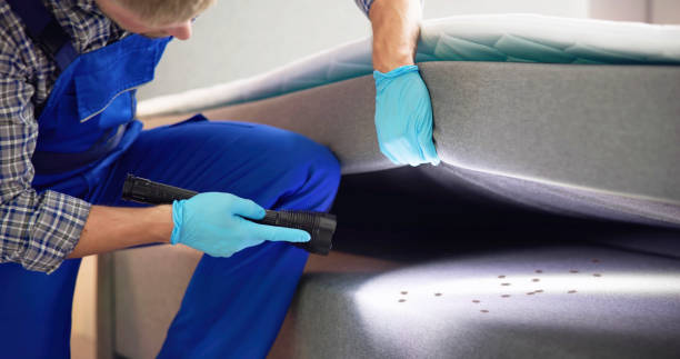 Best Mosquito Control Services  in Yuc Valley, CA