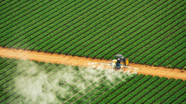 Best Pest Prevention Services  in Yuc Valley, CA